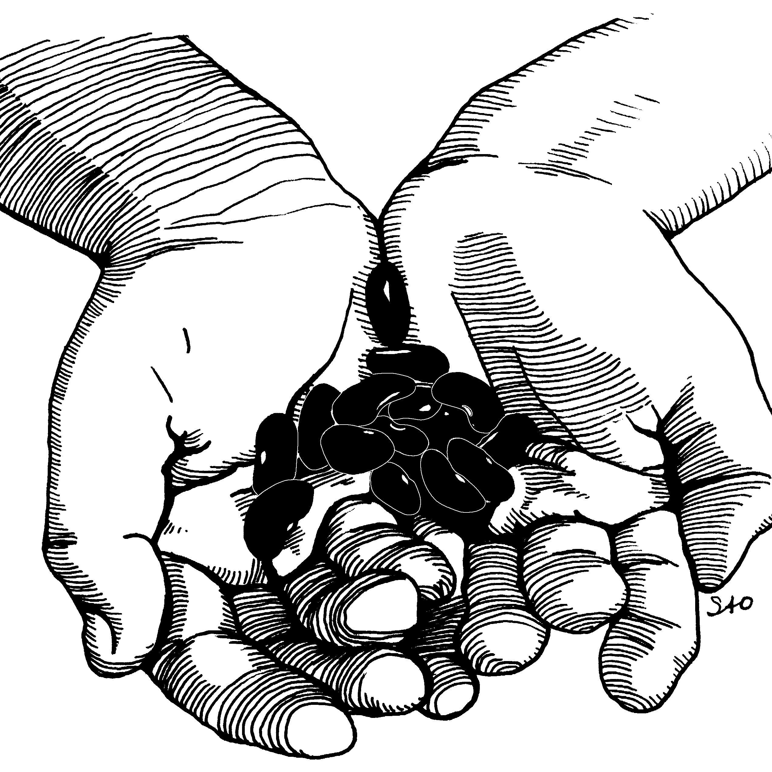 Two hands holding dry beans.